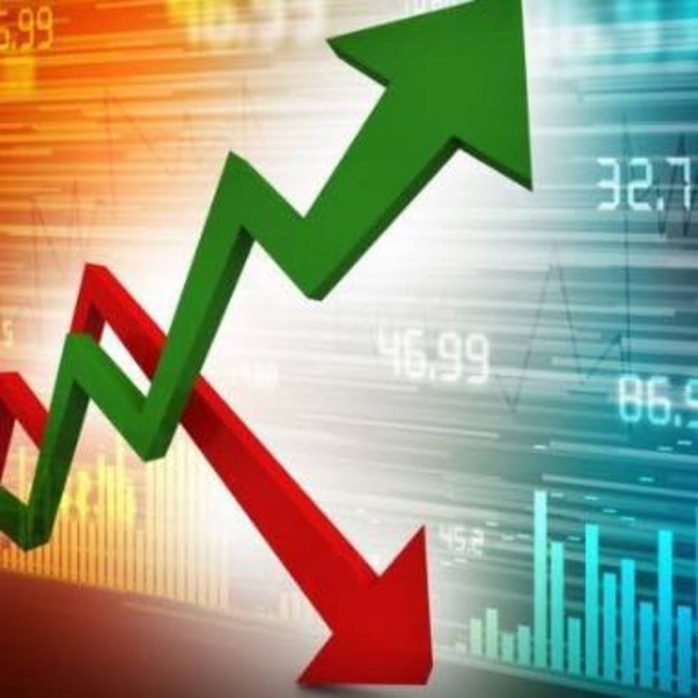 Meet your Posher, Dominick